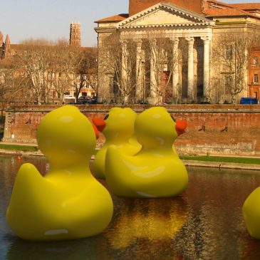 Amedischool participe à la 1ère DuckRace